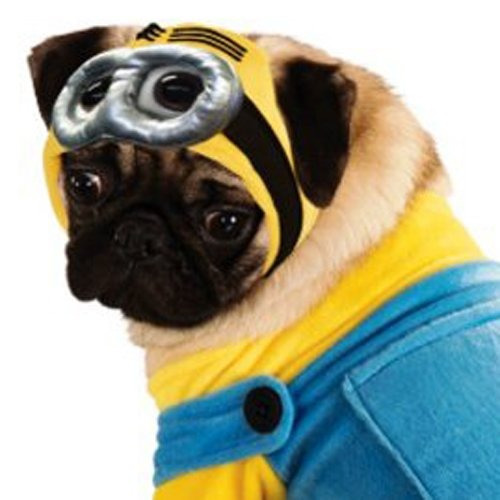 Despreciable Me 2 Minion Disfraz De Perro Mediano