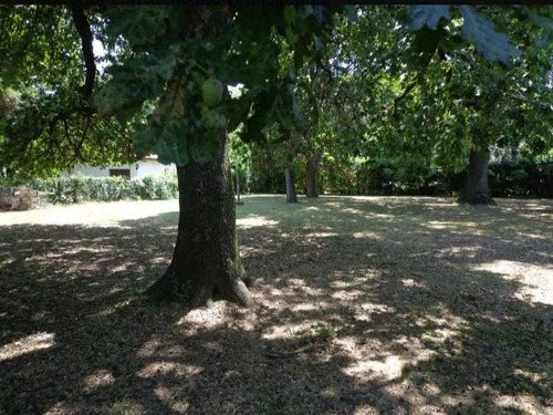 Imagen 5 de 12 de Terreno - Ricardo Rojas
