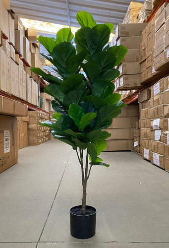 Ficus Lyrata Artificial Planta Permanente Decoração Sala Cor Verde