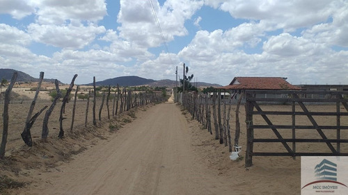Imagem 3 de 14 de Granja A Venda Em Tangará