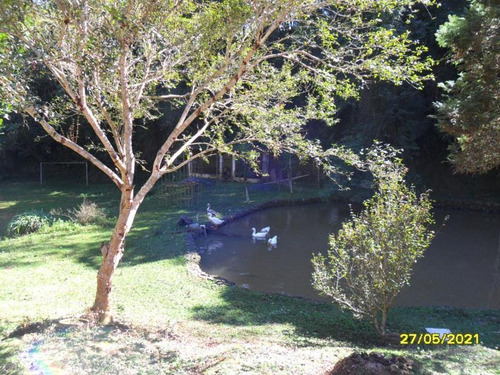 Imagem 8 de 14 de Excelente Chácara Com Piscina E Lagos Cod: 4448