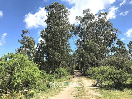 Imagen 11 de 28 de Lotes Financiados En Club De Campo Los Tres Arroyos - La Falda - Córdoba