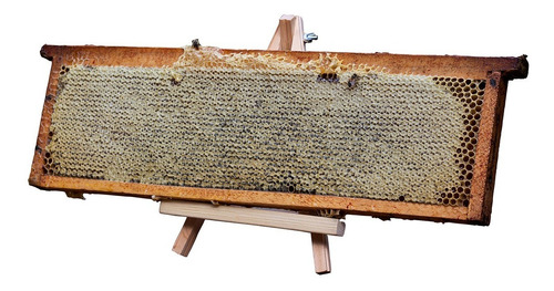 Miel En Panal Colmenares Klaassen (miel De Boqui) 