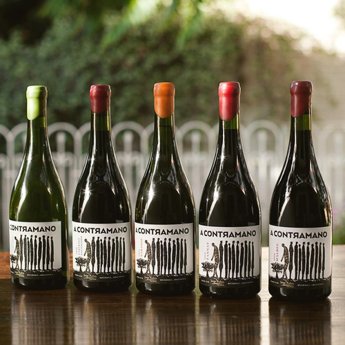 Vino A Contramano Cabernet Sauvignon X 750 Ml - Jorge Rubio