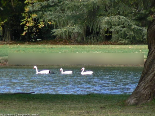 Estancia Benquerencia Farm Club - Chacra 339 (3.4ha) , Monte, Pcia. Bs. As.
