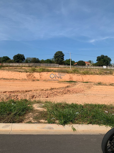 Imagem 2 de 2 de Terreno - Te00480 - 71044448