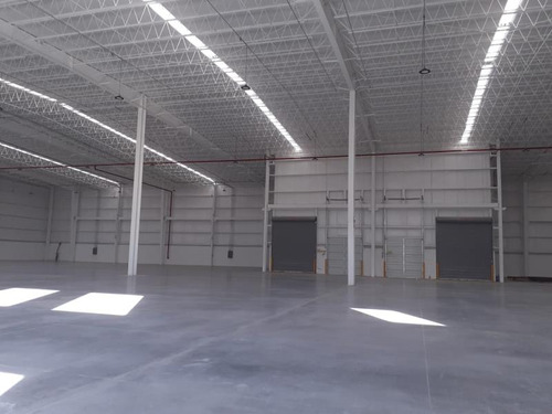 Bodega En Renta En Server Industrial Park