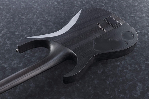 Guitarra Eléctrica 6 Cuerdas Ibanez Rgit20fe-tgf No Case