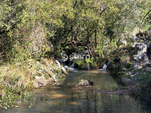 Venta De Chacras, Camino Valdivia, Maldonado- Ref: 1559