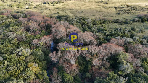 3 Hectáreas En Pueblo Edén Con Arroyo Y Monte Nativo