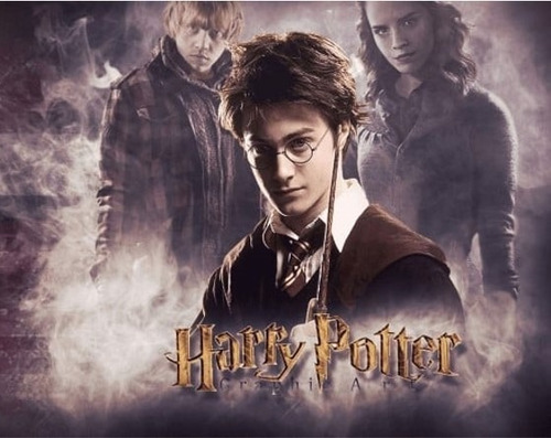 Termo Harry Potter Amigos De Gryffindor Plata O Blanco