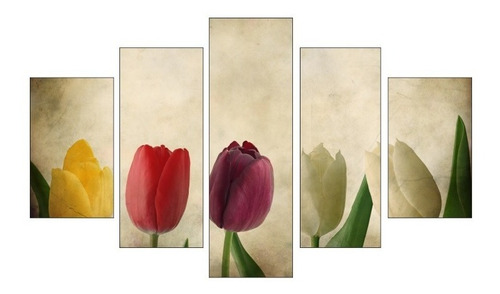 Cuadro Decorativo Moderno Flores Tulipanes Vintage