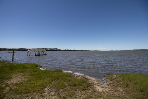 Terreno Para Venda Em Garopaba, Campo Duna - 986_2-1163957