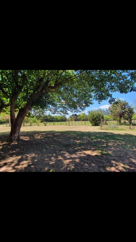 Imagen 8 de 10 de Alquiler Haras 10 Ha Establecimiento Hipico 24 Caballerizas, Silo, Galpon 150mts, Casa Encargado