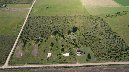 Imagen 18 de 20 de Campo - Colón