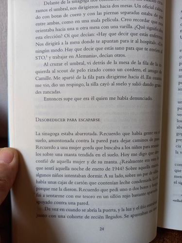 Libro Del Creador Del Concepto De Resiliencia, Terapeuta (Usado)