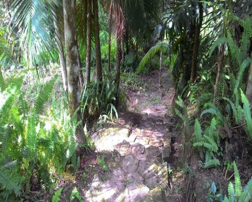 Chácara - 0271 - 32820370