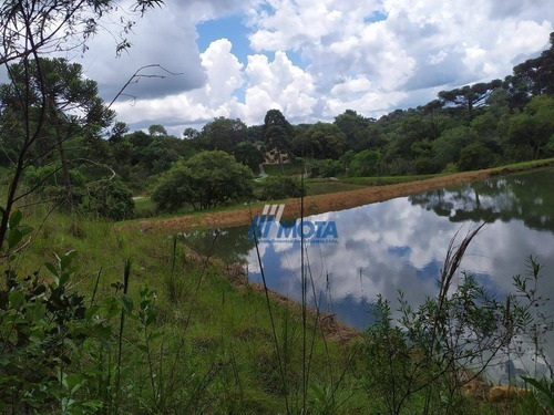 Chácara Com 5 Dormitórios À Venda, 45824 M² Por R$ 850.000 - Quatro Pinheiros - Mandirituba/paraná - Ch0173