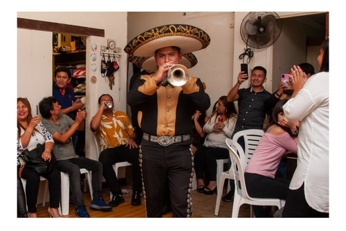 Mariachi Profesional Contratar Serenata Show A Domicilio