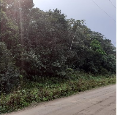 Terreno Perto Da Pista De 300 M² Em Itanhaém | Entrada 7 Mil