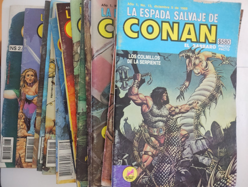 La Espada Salvaje De Conan Lote De 19 Cómics (Usado)