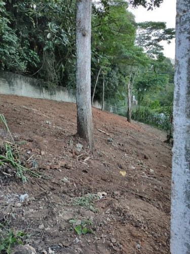 Terreno À Venda, 480 M² Por R$ 852.000,00 - Jardim Ibiratiba - São Paulo/sp - Te0381