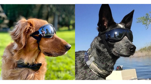 Gafas De Sol Para Perro Anti-uv Protector De Ojos Ajustable