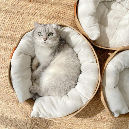 Cesta Para Cama De Gato, Rascador De Gato S Marrón