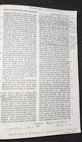 Imagen 9 de 9 de The New English Bible Cambridge