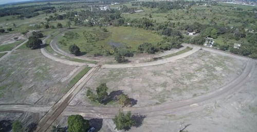 Imagem 5 de 6 de Terrenos Em Lançamento Próximo Ao Centro - Tr1407v