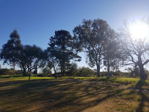 Imagen 9 de 18 de Fincas Del Río Lote N° 6 De 850 M2 Cayastá