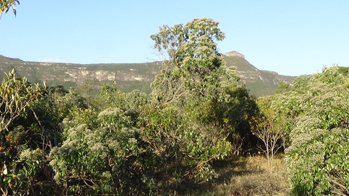 Terreno Vale Do Capão - Chapada Diamantina - 1010 M2 - R$160k - No Centro Do Vilarejo
