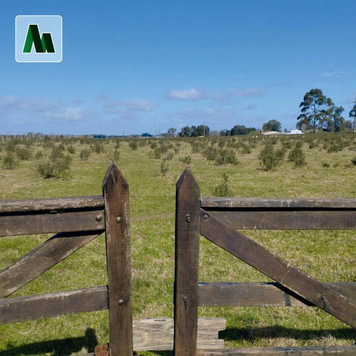 3 Hectareas Prox A Estacion Atlantida.