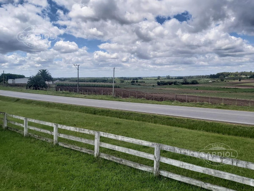 Imagen 19 de 28 de Terreno Barrio Privado 7414 Mts Camino De Los Horneros- Countrie Quinta De Los Horneros