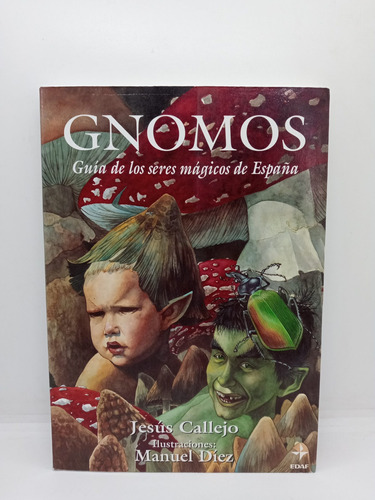 Gnomos - Jesús Callejo - Seres Mágicos De España 