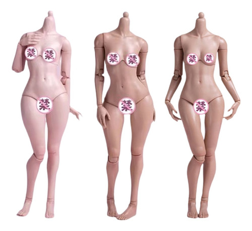 Figura Femenina 1:6 Cuerpo Para Phicen Hot Toys At202