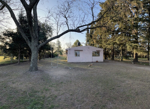 Imagen 3 de 20 de En Venta!!! Casa Quinta Frente A Rn 188, Km 153. (junín - Ba)