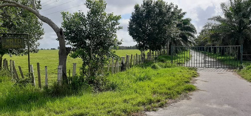 Imagen 3 de 27 de Se Vende Finca El Maitero Via El Sur De Monagas Ve02-1098vs-mtru