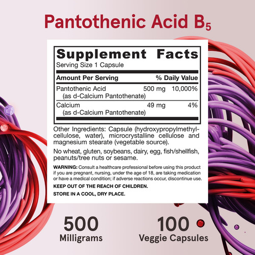 Suplemento Jarrow Formulas Ácido Pantotênico B5 500 Mg 100 C
