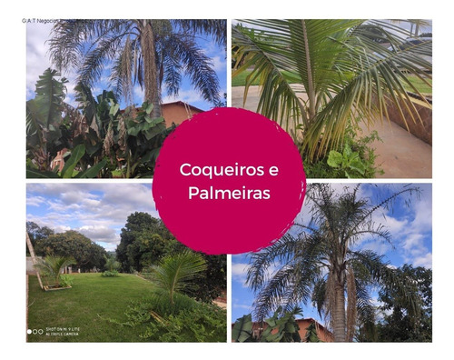 Imagem 14 de 20 de Chacara À Venda No Piraporinha - Salto De Pirapora/sp - Ch00646 - 67737938