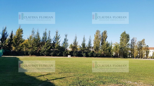 Terreno En Venta En Bella Vista