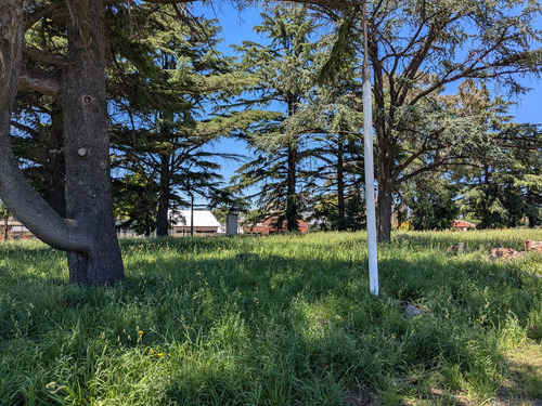 Terrenos En Conjunto Oportunidad En Tandil