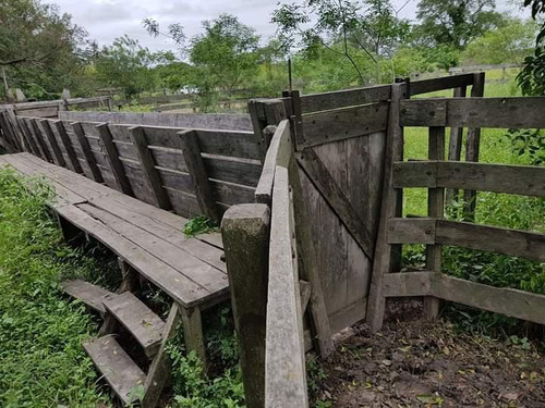 Campo En Formosa