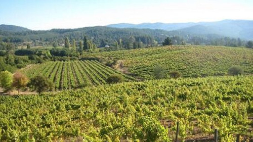 Cauquenes Viñas Y Forestal, 2 Tranques (70047)