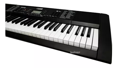 Tibio nosotros Posibilidades Teclado Musical 5 Octavas 61 Teclas Tamaño Real Con Base