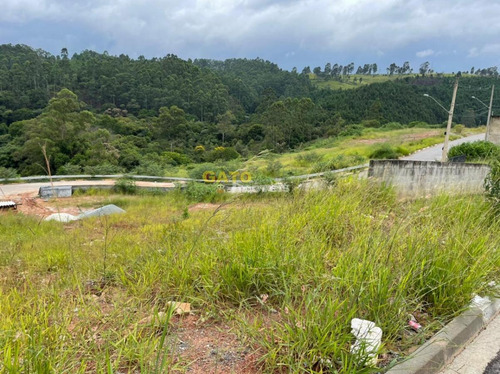 Imagem 6 de 8 de Terreno Para Venda Em Cajamar, Portais (polvilho) - 21118_1-1794462