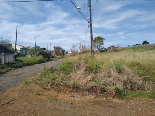 Imagem 10 de 10 de Terrenos - Ref: V5767