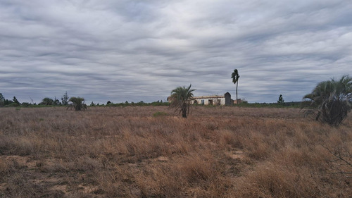 Campo En Osvaldo Magnasco