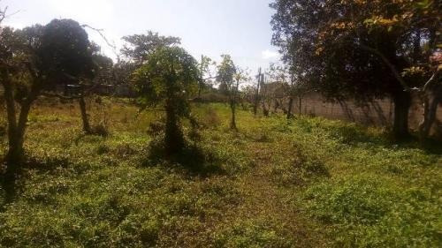 Imagem 6 de 8 de Chácara Na Praia Com 2 Quartos, Área De 3.600m²