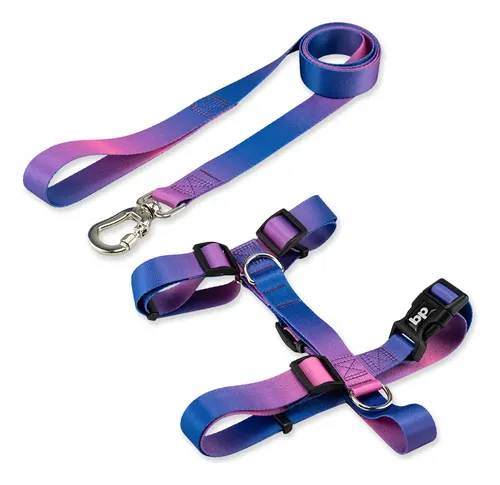 Coleira Peitoral com Guia para Cachorro Pet Cães Basic Pet Cor Lily Tamanho Grande First G — R$ 43,90 em Mercado Livre, 44% OFF